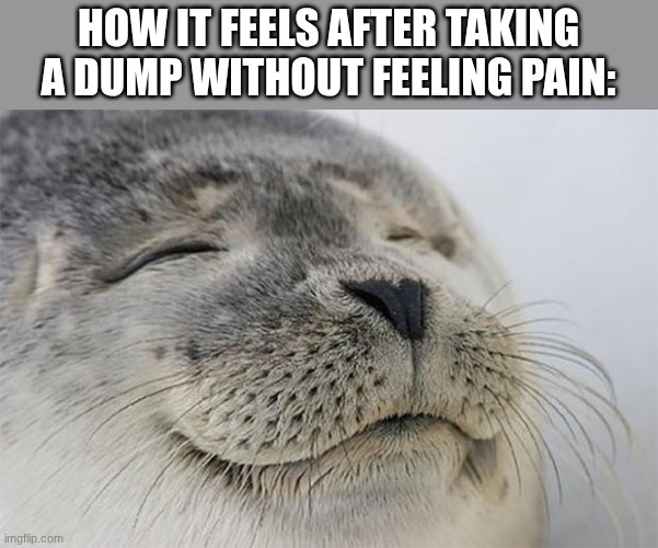 My ass feels so comfy | HOW IT FEELS AFTER TAKING A DUMP WITHOUT FEELING PAIN: | image tagged in memes,poop,relatable,funny,toilet,stupid | made w/ Imgflip meme maker