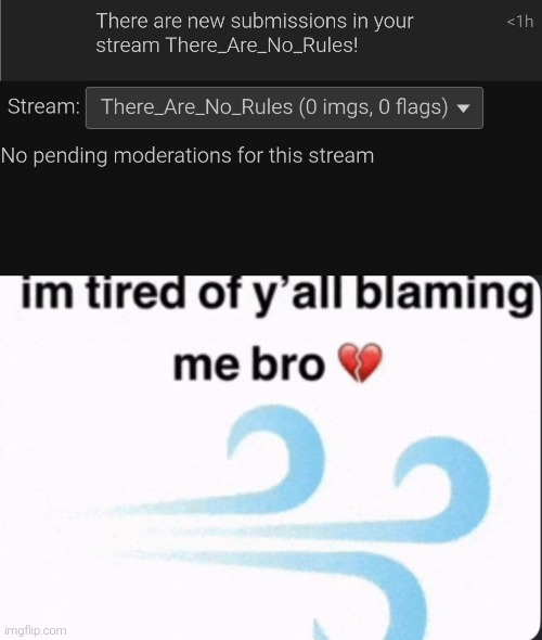 What | image tagged in im tired of yall blaming me bro | made w/ Imgflip meme maker