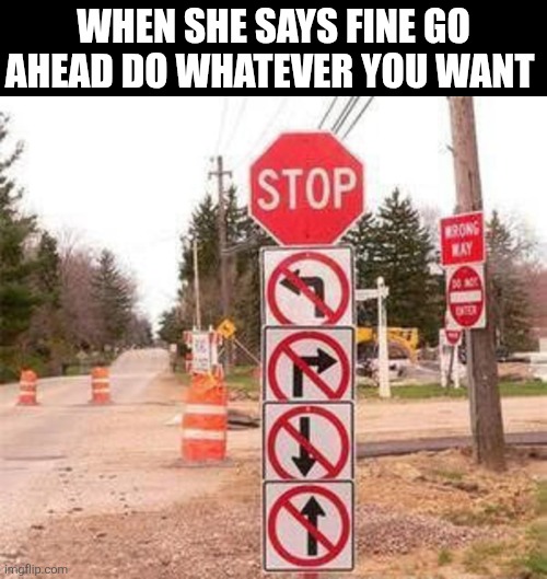 When She Says Fine Go Ahead Do Whatever You Want | WHEN SHE SAYS FINE GO AHEAD DO WHATEVER YOU WANT | image tagged in chrisjoines1 | made w/ Imgflip meme maker