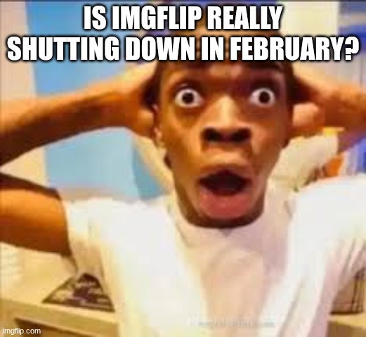 did I just get baited | IS IMGFLIP REALLY SHUTTING DOWN IN FEBRUARY? | image tagged in no way face shocked black guy | made w/ Imgflip meme maker
