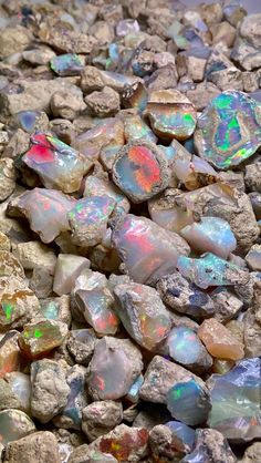 Pretty rocks Blank Meme Template