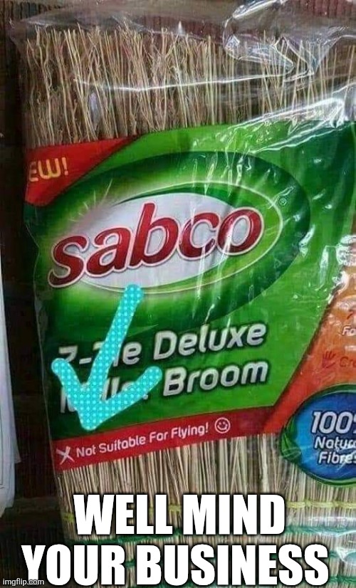 Well Mind Your Business | WELL MIND YOUR BUSINESS | image tagged in chrisjoines1 | made w/ Imgflip meme maker