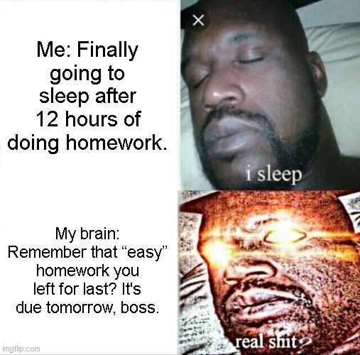 It's always the same when I go to sleep. | Me: Finally going to sleep after 12 hours of doing homework. My brain: Remember that “easy” homework you left for last? It's due tomorrow, boss. | image tagged in memes,sleeping shaq,reality,school meme,xd | made w/ Imgflip meme maker