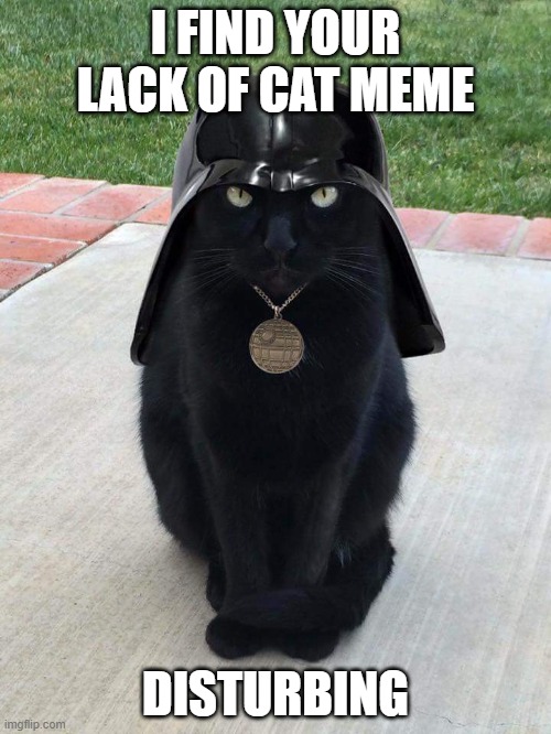 Lack of Cat Meme | I FIND YOUR LACK OF CAT MEME; DISTURBING | image tagged in darth vader cat | made w/ Imgflip meme maker