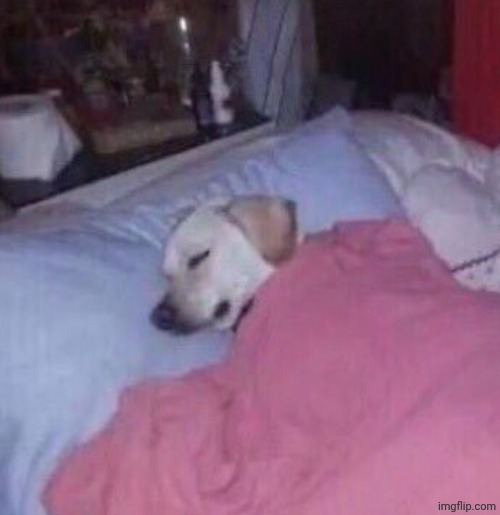how I sleep knowing that it's too late to redeem myself | image tagged in how i sleep at night | made w/ Imgflip meme maker