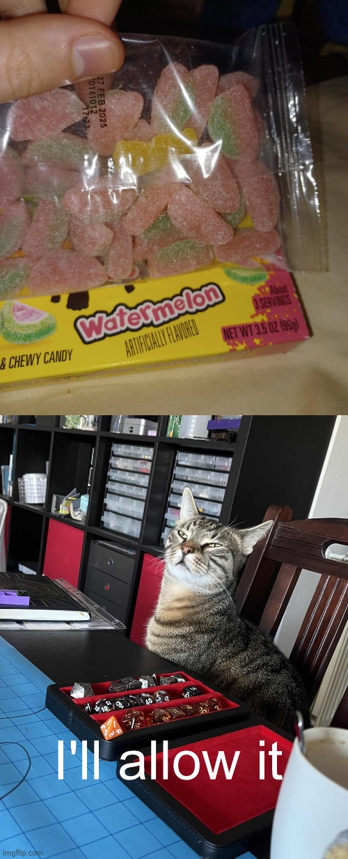 One yellow candy stands out from the rest | image tagged in dungeon master cat,candy,watermelon,you had one job,memes,food | made w/ Imgflip meme maker