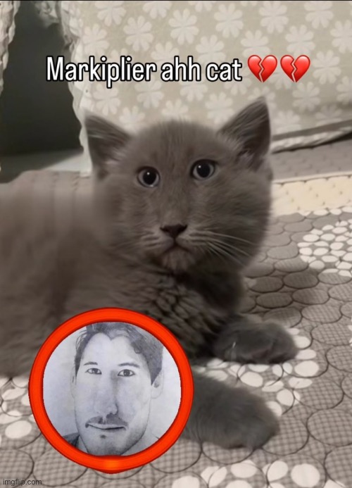 in the gif maker they should add a way to directly select gif templates like in the meme generator | made w/ Imgflip meme maker