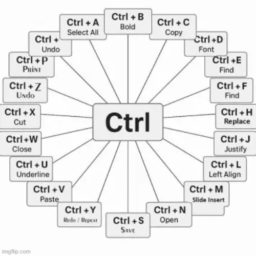 image tagged in random,random tag i decided to put | made w/ Imgflip meme maker