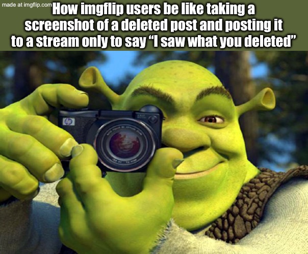 shrek camera | How imgflip users be like taking a screenshot of a deleted post and posting it to a stream only to say “I saw what you deleted” | image tagged in shrek camera | made w/ Imgflip meme maker