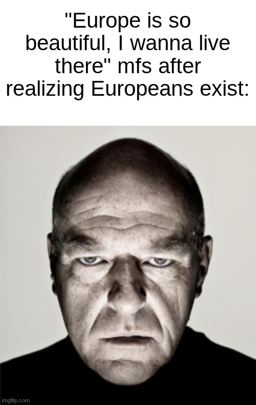 Dean Norris Mad | "Europe is so beautiful, I wanna live there" mfs after realizing Europeans exist: | image tagged in dean norris mad | made w/ Imgflip meme maker