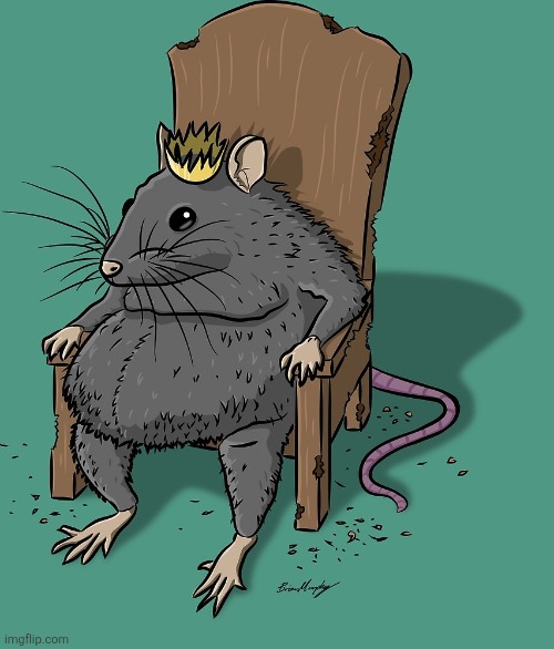Rat King | image tagged in rat king | made w/ Imgflip meme maker