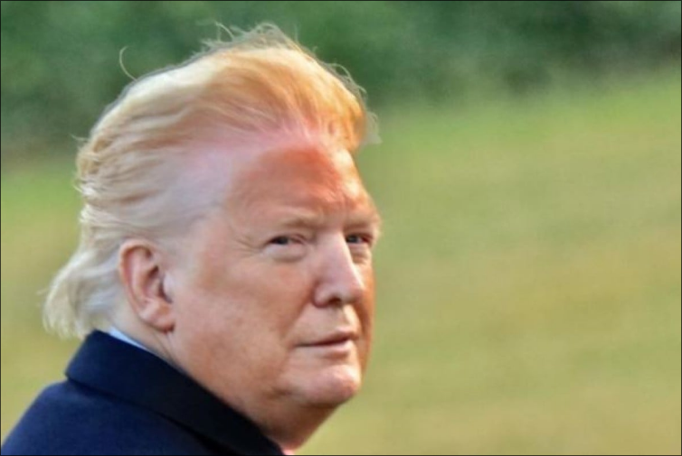 Pedophile Protector Blank Meme Template