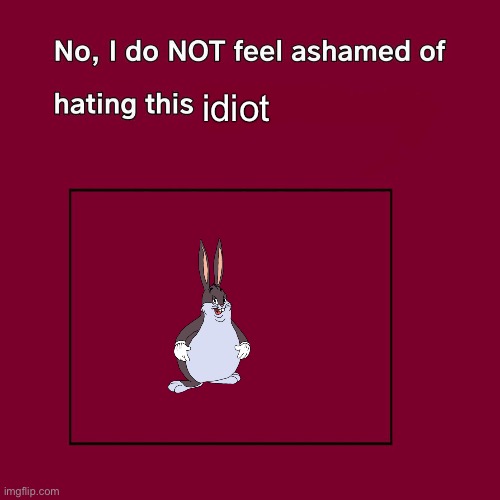 No, I don't feel ashamed. | idiot | image tagged in no i don't feel ashamed | made w/ Imgflip meme maker
