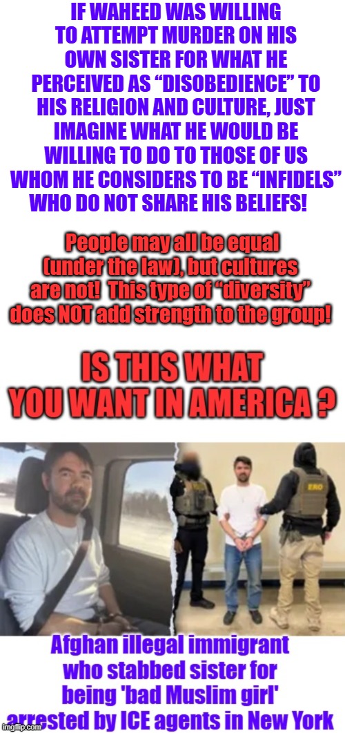 DEMs protect this, they bail um out they hire lawyers for them, start go fund me pages. Then make sure they get the right judge | IF WAHEED WAS WILLING TO ATTEMPT MURDER ON HIS OWN SISTER FOR WHAT HE PERCEIVED AS “DISOBEDIENCE” TO HIS RELIGION AND CULTURE, JUST IMAGINE WHAT HE WOULD BE WILLING TO DO TO THOSE OF US WHOM HE CONSIDERS TO BE “INFIDELS” WHO DO NOT SHARE HIS BELIEFS! People may all be equal (under the law), but cultures are not!  This type of “diversity” does NOT add strength to the group! | image tagged in memes,blank transparent square | made w/ Imgflip meme maker