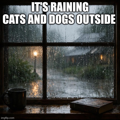 #idiom | IT'S RAINING CATS AND DOGS OUTSIDE | image tagged in memes | made w/ Imgflip meme maker
