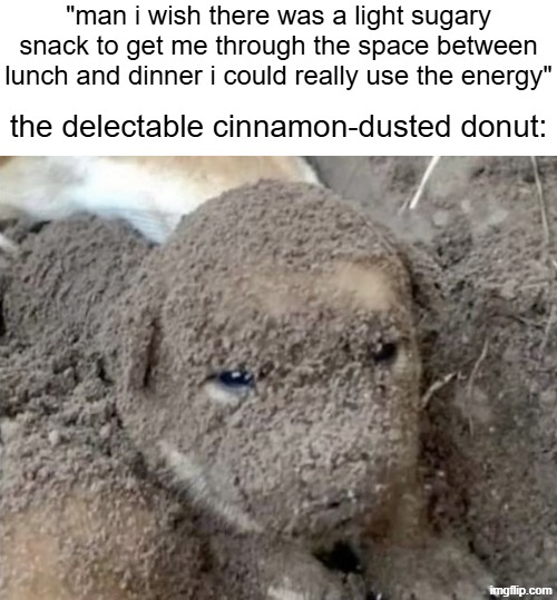 "man i wish there was a light sugary snack to get me through the space between lunch and dinner i could really use the energy"; the delectable cinnamon-dusted donut: | made w/ Imgflip meme maker