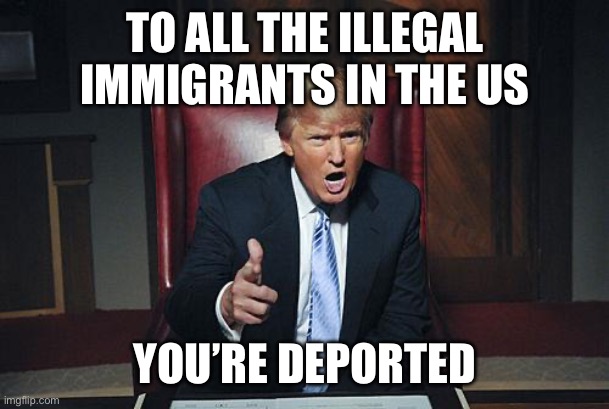 YIPPEE | TO ALL THE ILLEGAL IMMIGRANTS IN THE US; YOU’RE DEPORTED | image tagged in donald trump you're fired | made w/ Imgflip meme maker
