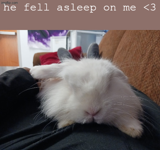 he fell asleep on me <3 | made w/ Imgflip meme maker