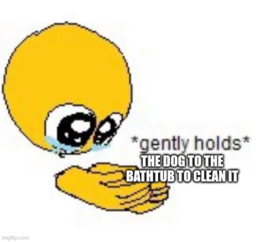 Gently holds emoji | THE DOG TO THE BATHTUB TO CLEAN IT | image tagged in gently holds emoji | made w/ Imgflip meme maker