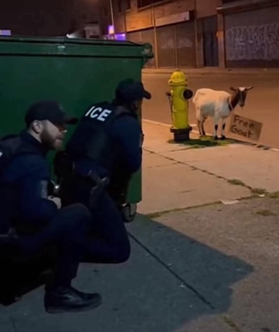 ice trap Blank Meme Template