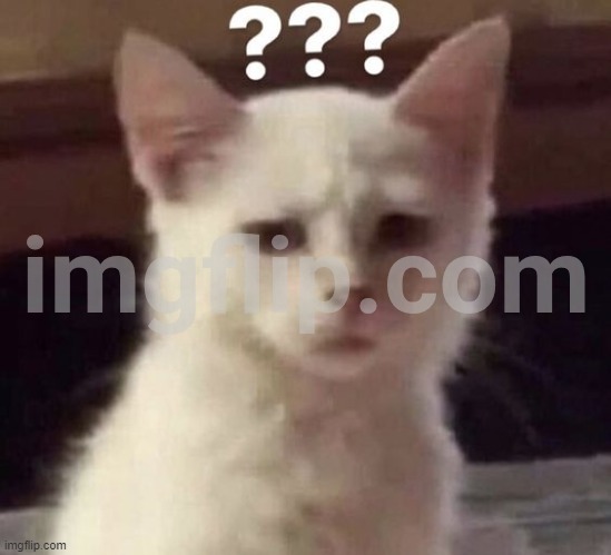 ? | made w/ Imgflip meme maker