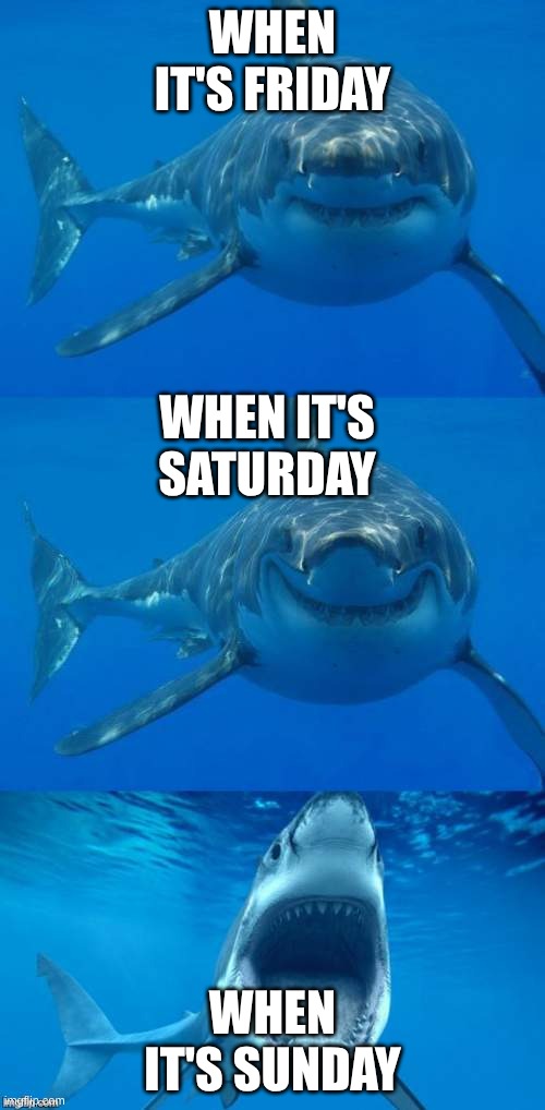 three days | WHEN IT'S FRIDAY; WHEN IT'S SATURDAY; WHEN IT'S SUNDAY | image tagged in bad shark pun | made w/ Imgflip meme maker