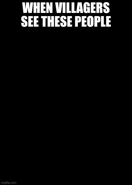 Illagers | WHEN VILLAGERS SEE THESE PEOPLE | image tagged in illagers | made w/ Imgflip meme maker