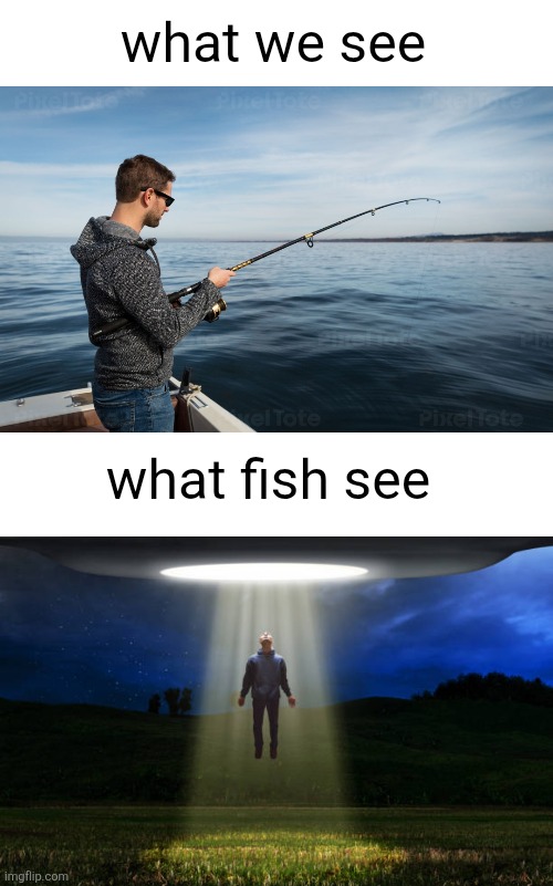 They just float away never to be seen again | what we see; what fish see | image tagged in blank white template,fish,aliens,fishing,abduction,shower thoughts | made w/ Imgflip meme maker