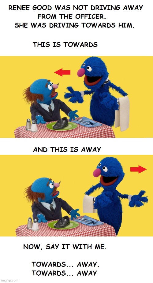 Towards and Away | image tagged in renee good,ice,minneapolis,libtards | made w/ Imgflip meme maker