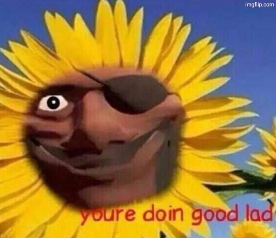 Demo sunflower | image tagged in demo sunflower | made w/ Imgflip meme maker