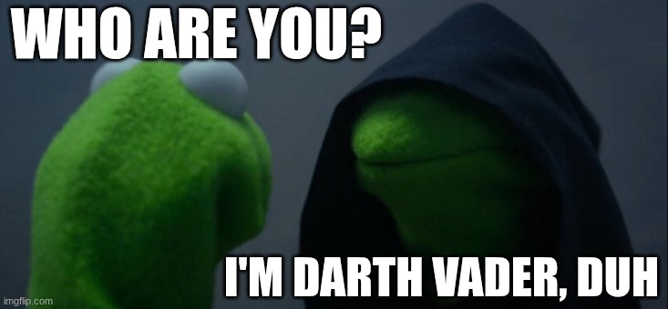 Halloween costume | WHO ARE YOU? I'M DARTH VADER, DUH | image tagged in memes,evil kermit | made w/ Imgflip meme maker