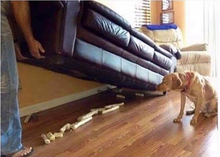 Chrisjoines1 Blank Meme Template