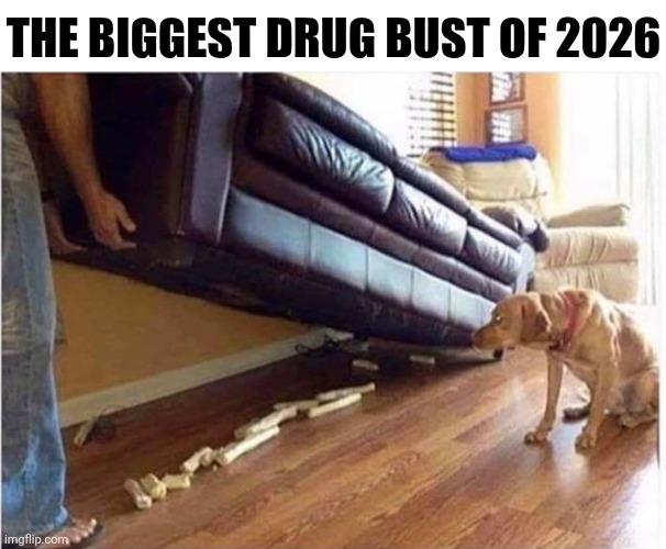 The Biggest Drug Bust Of 2026 | THE BIGGEST DRUG BUST OF 2026 | image tagged in chrisjoines1 | made w/ Imgflip meme maker