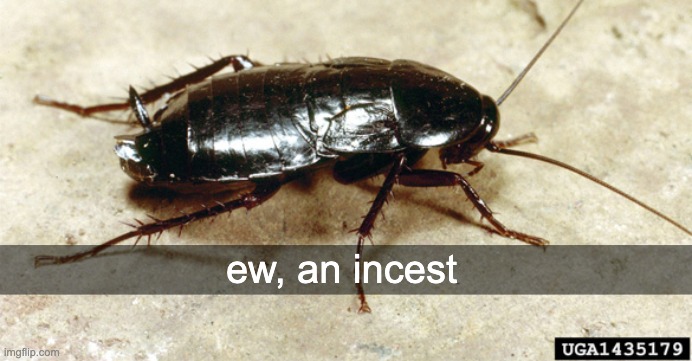 ew, an incest | made w/ Imgflip meme maker