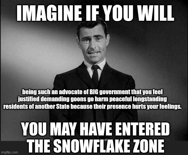 The snowflake zone | IMAGINE IF YOU WILL; being such an advocate of BIG government that you feel justified demanding goons go harm peaceful longstanding residents of another State because their presence hurts your feelings. YOU MAY HAVE ENTERED
THE SNOWFLAKE ZONE | image tagged in rod serling twilight zone,immigration,big government,ice | made w/ Imgflip meme maker
