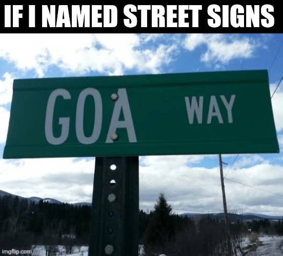 If I Named Street Signs | IF I NAMED STREET SIGNS | made w/ Imgflip meme maker