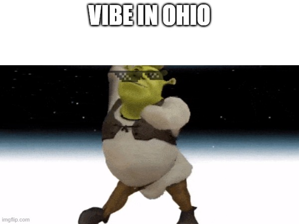 shrek boy | VIBE IN OHIO | image tagged in dance dance,shrek,space | made w/ Imgflip meme maker