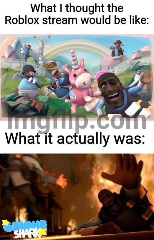 All I saw was drama... | What I thought the Roblox stream would be like:; What it actually was: | image tagged in pyrovision,roblox,something,vent,memes | made w/ Imgflip meme maker