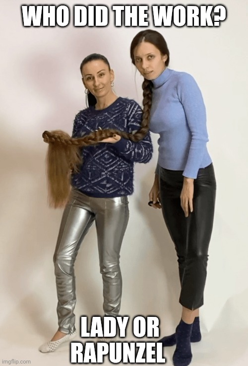 ? | WHO DID THE WORK? LADY OR RAPUNZEL | image tagged in decisions | made w/ Imgflip meme maker