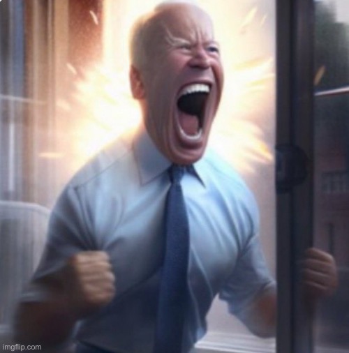 BOUGHT MY FIRST ETF SHARES | image tagged in biden lets go | made w/ Imgflip meme maker