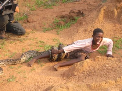 Watching snake attack boy Blank Meme Template