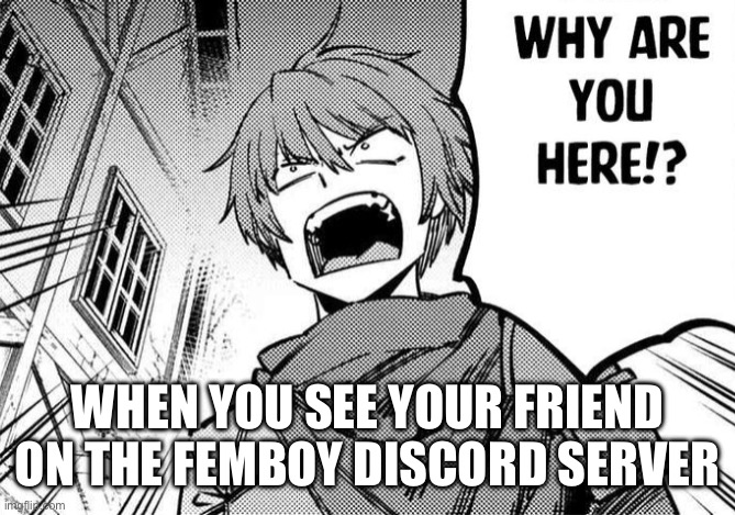 Ran out of ideas again | WHEN YOU SEE YOUR FRIEND ON THE FEMBOY DISCORD SERVER | image tagged in why are you here | made w/ Imgflip meme maker