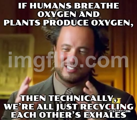 IF HUMANS BREATHE OXYGEN AND PLANTS PRODUCE OXYGEN, THEN TECHNICALLY, WE’RE ALL JUST RECYCLING EACH OTHER’S EXHALES | IF HUMANS BREATHE OXYGEN AND PLANTS PRODUCE OXYGEN, THEN TECHNICALLY, WE’RE ALL JUST RECYCLING EACH OTHER’S EXHALES | image tagged in memes,ancient aliens,oxygen,carbon,plants,breathe | made w/ Imgflip meme maker