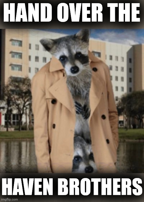 ⚓ | HAND OVER THE HAVEN BROTHERS | image tagged in haven brothers,providence,evil plotting raccoon | made w/ Imgflip meme maker