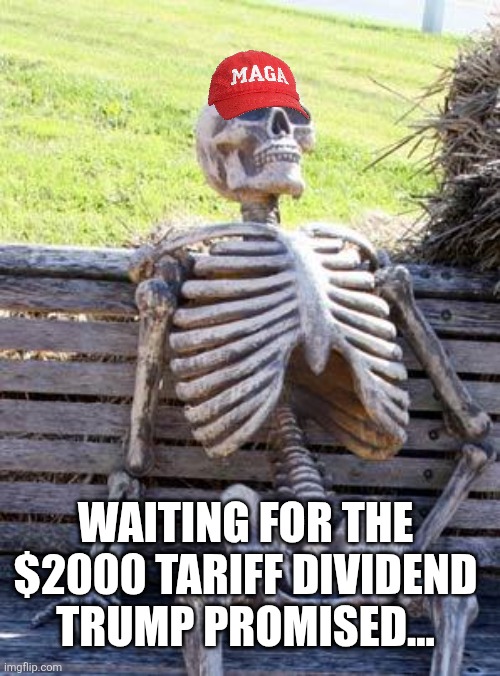 Maga got dumped again | WAITING FOR THE $2000 TARIFF DIVIDEND TRUMP PROMISED... | image tagged in donald trump,trump,maga,nevertrump,trump sucks,conservative | made w/ Imgflip meme maker