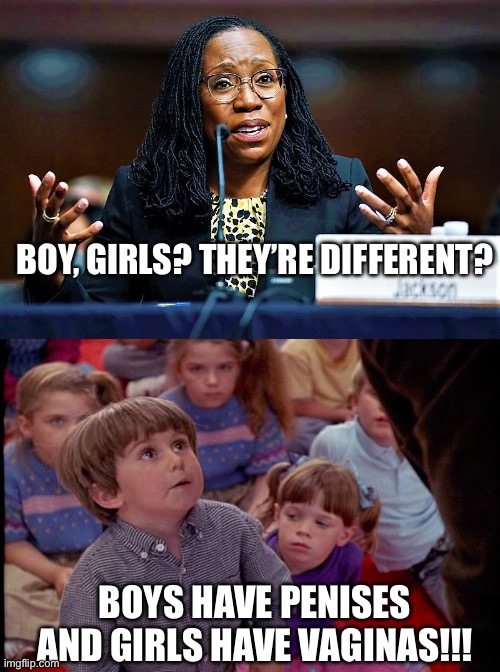 BOY, GIRLS? THEY’RE DIFFERENT? BOYS HAVE PENISES AND GIRLS HAVE VAGINAS!!! | image tagged in ketanji brown jackson,kindergarten cop kid,transgender,politics,political meme | made w/ Imgflip meme maker