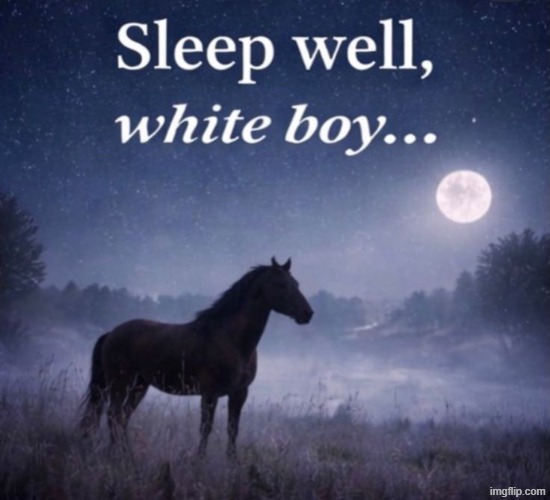 life or bed for sleepy cat | made w/ Imgflip meme maker