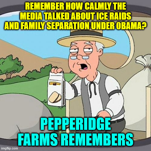 The left are hypocrites | REMEMBER HOW CALMLY THE MEDIA TALKED ABOUT ICE RAIDS AND FAMILY SEPARATION UNDER 0BAMA? PEPPERIDGE FARMS REMEMBERS | image tagged in memes,pepperidge farm remembers,ice,deportations | made w/ Imgflip meme maker