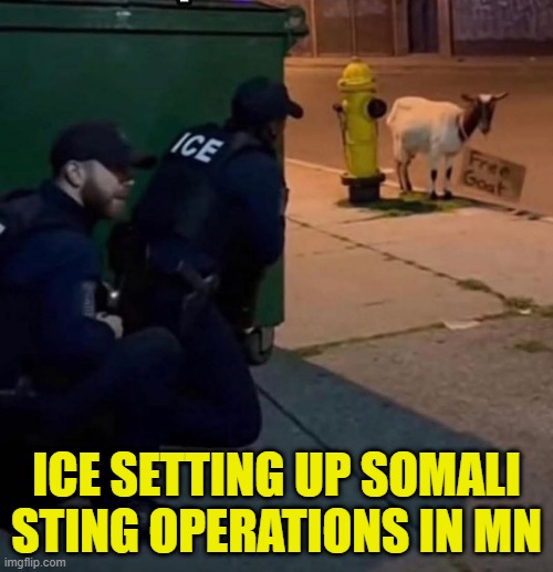 ICE Sting Op | ICE SETTING UP SOMALI STING OPERATIONS IN MN | image tagged in minnesota,fraud,ice,ilhan,deportation,america first | made w/ Imgflip meme maker
