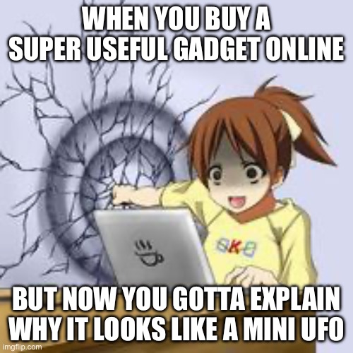 Anime wall punch | WHEN YOU BUY A SUPER USEFUL GADGET ONLINE; BUT NOW YOU GOTTA EXPLAIN WHY IT LOOKS LIKE A MINI UFO | image tagged in anime wall punch | made w/ Imgflip meme maker